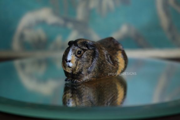 Rosetten Agouti Meerschweinchen Figur